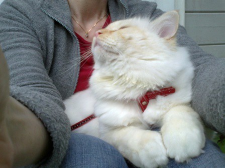 Kesken ulkoilunkin pitää päästä välillä yykkyyn